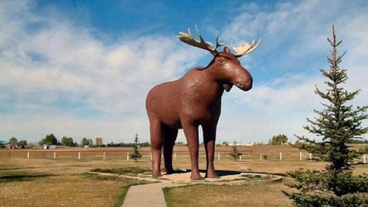 Photo of Others in Moose Jaw