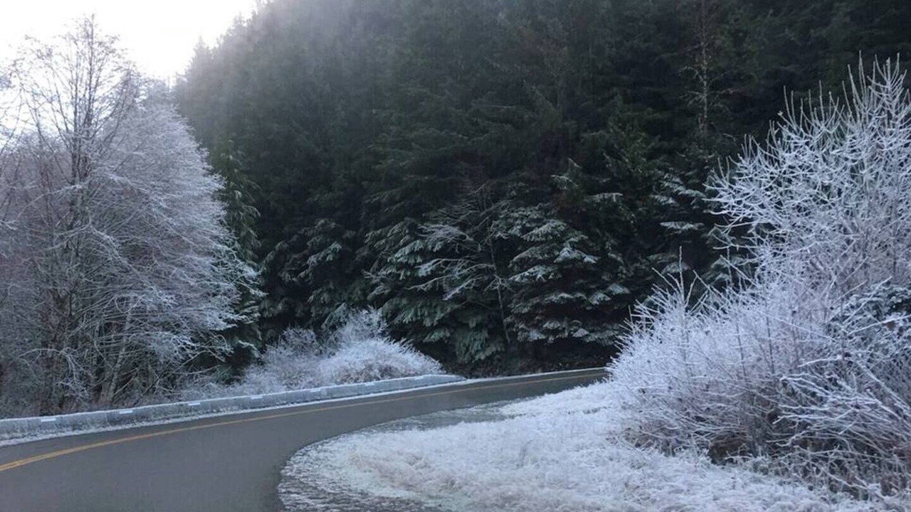 Photo of Others in Port Renfrew