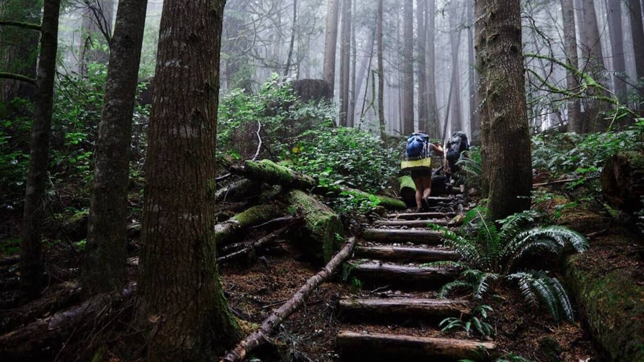 Photo of Others in Port Renfrew