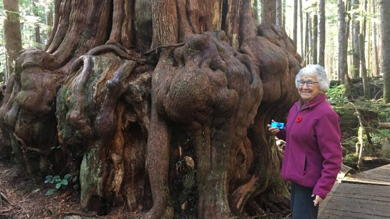 Photo of Others in Port Renfrew