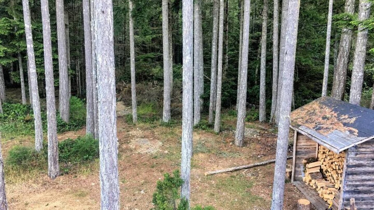 Photo of Others in Otter Point