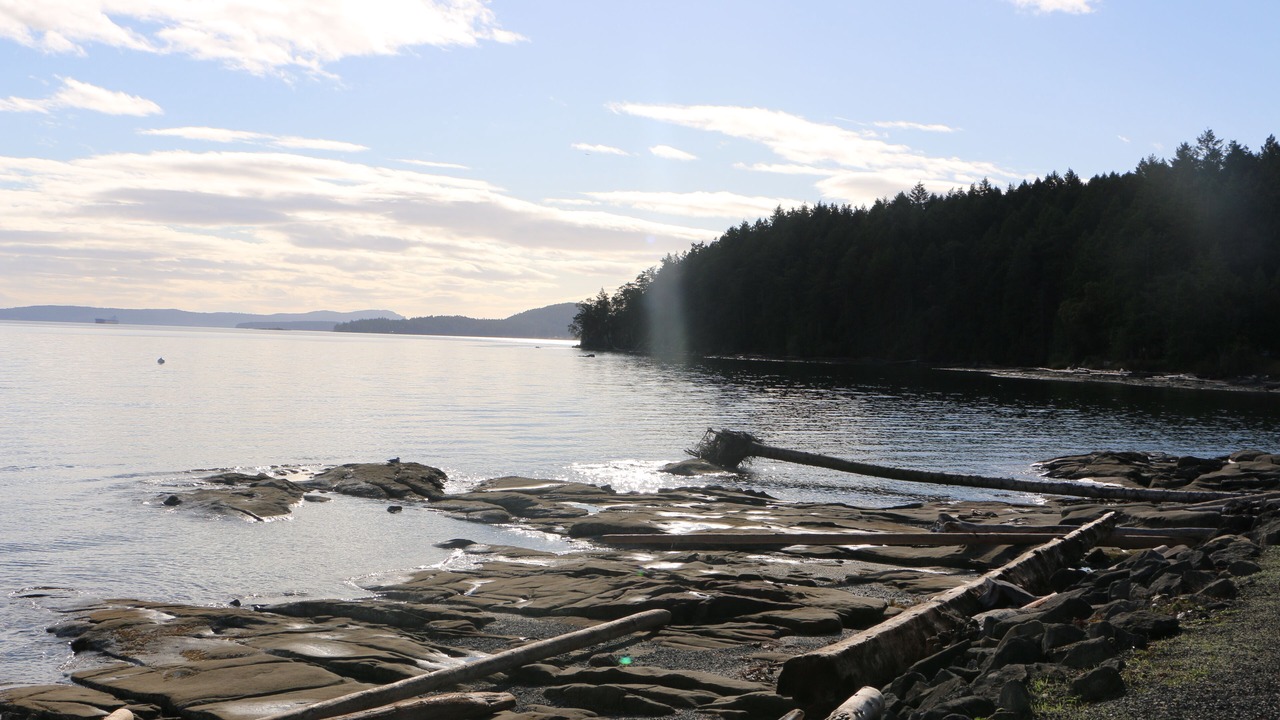 Photo of Others in Yellow Point