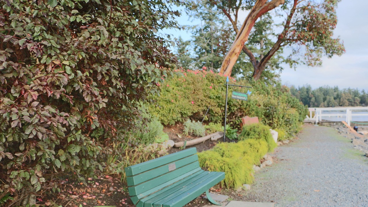 Photo of Outdoor in Yellow Point