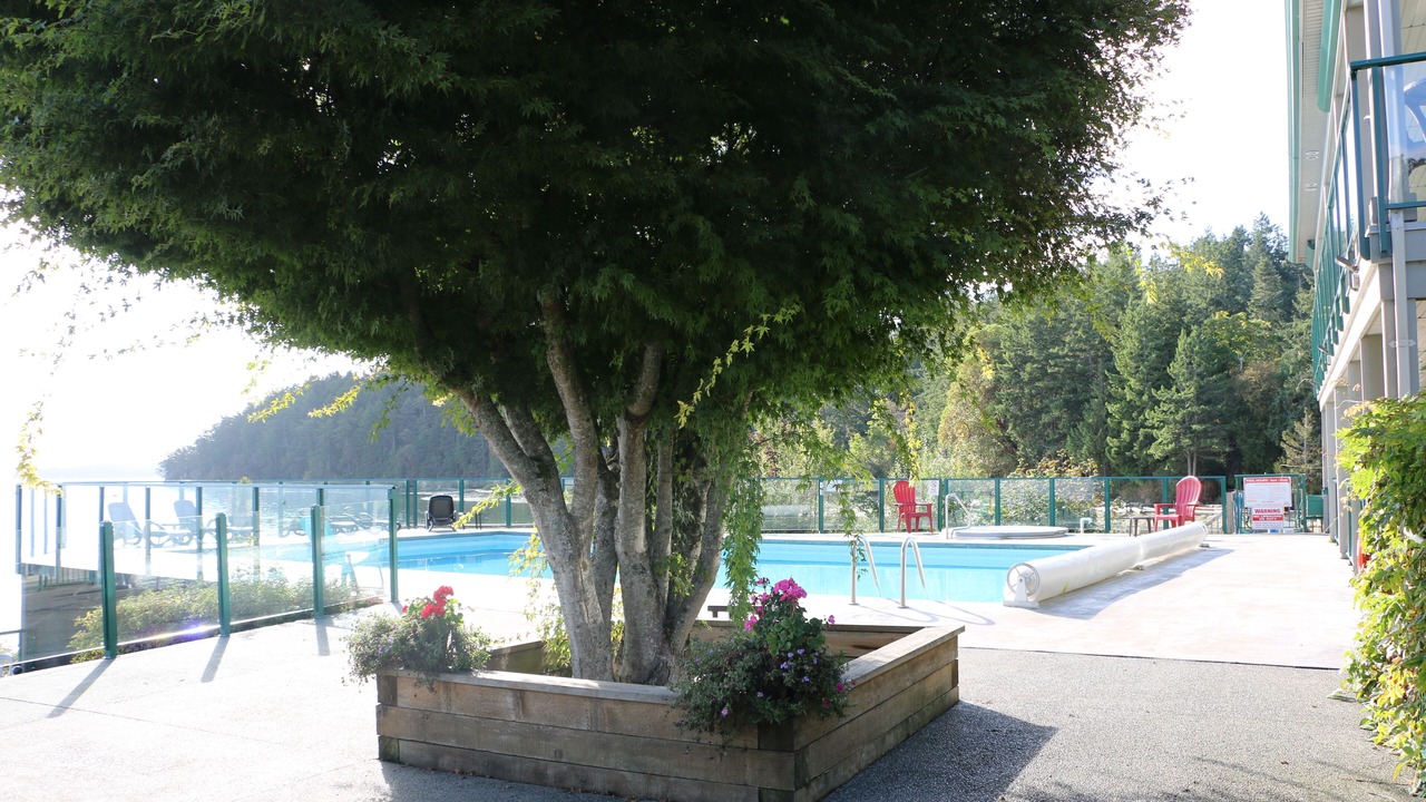 Photo of Outdoor in Yellow Point