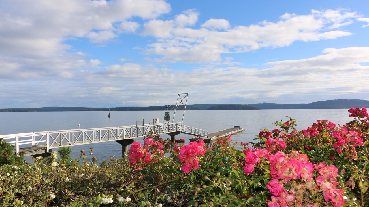 Photo of Outdoor in Yellow Point