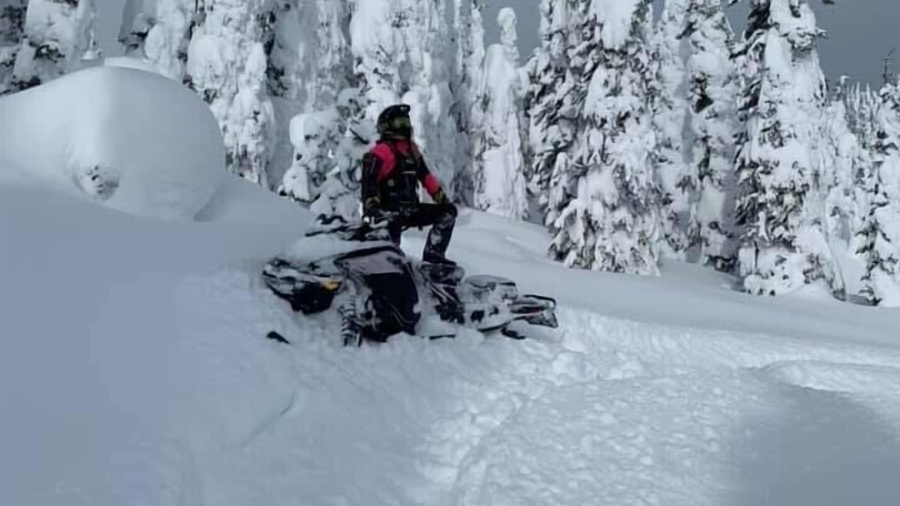 Photo of Others in Sicamous
