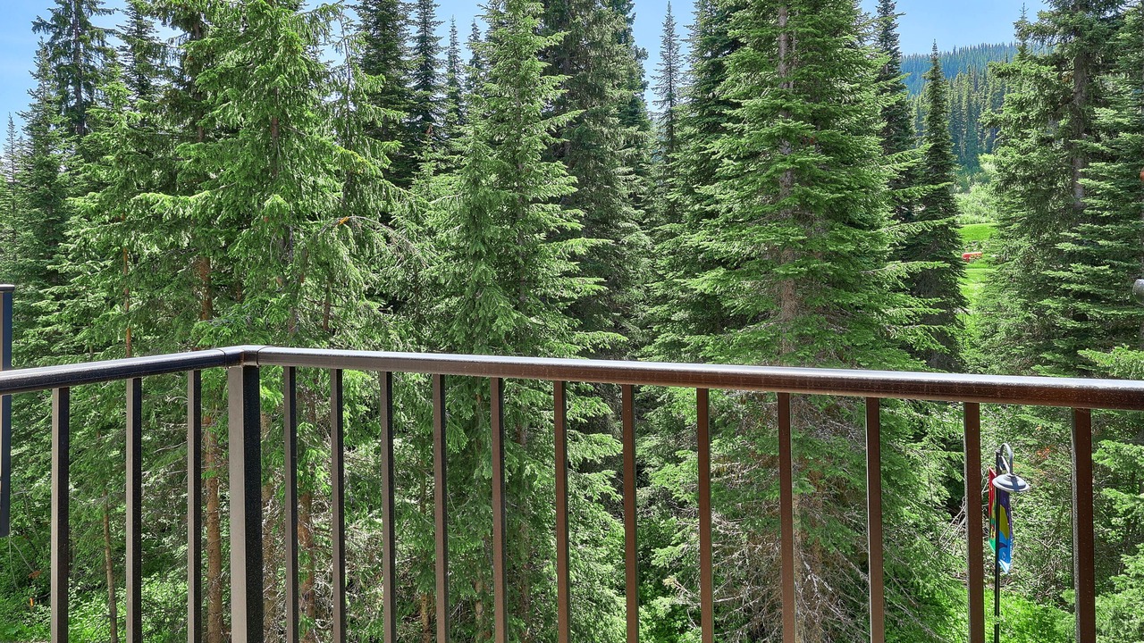 Photo of Outdoor in Sun Peaks