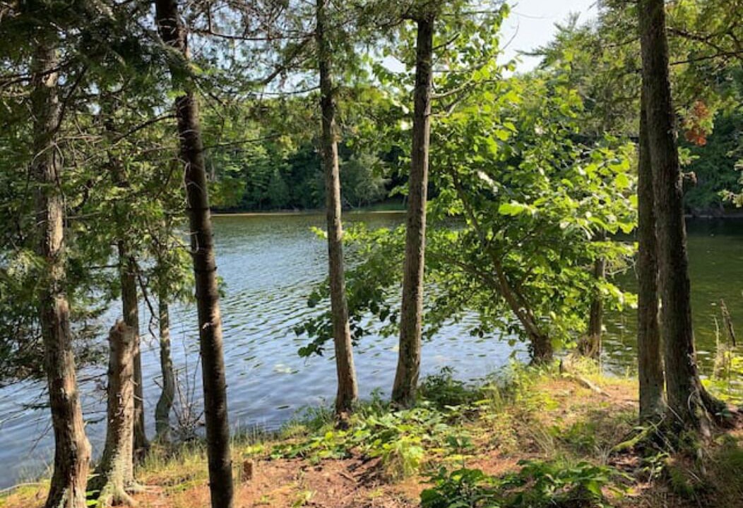 Photo of Outdoor in Tay Valley