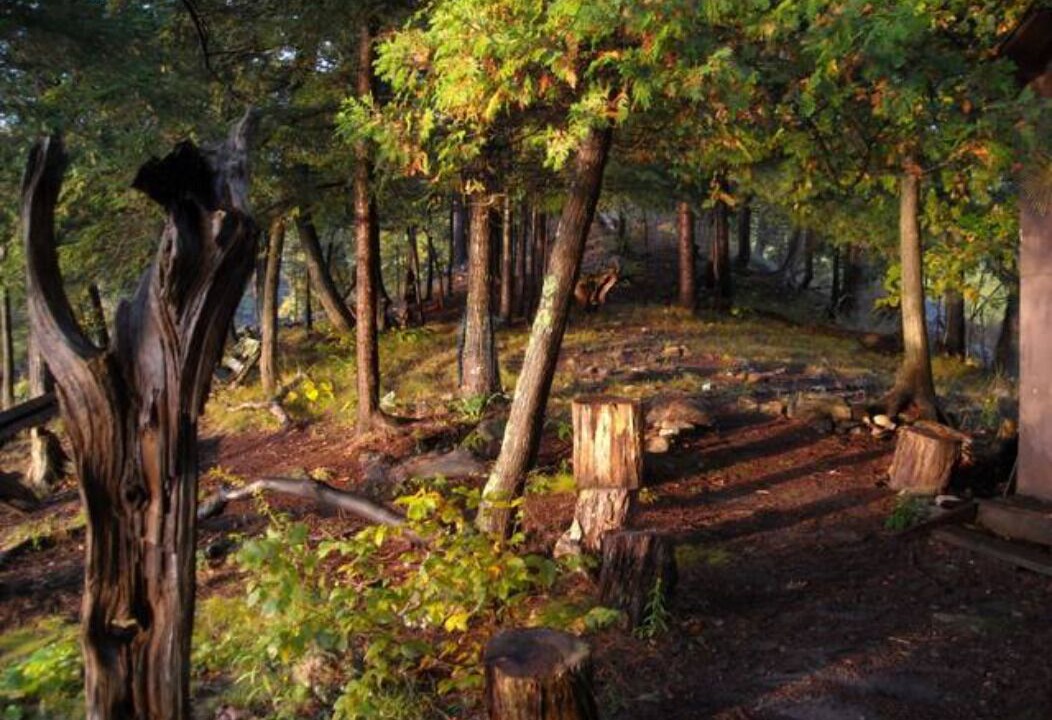 Photo of Outdoor in Tay Valley