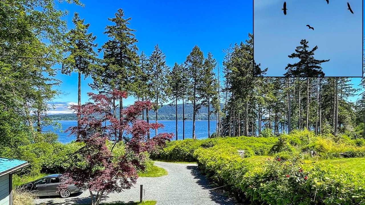 Photo of Others in Denman Island