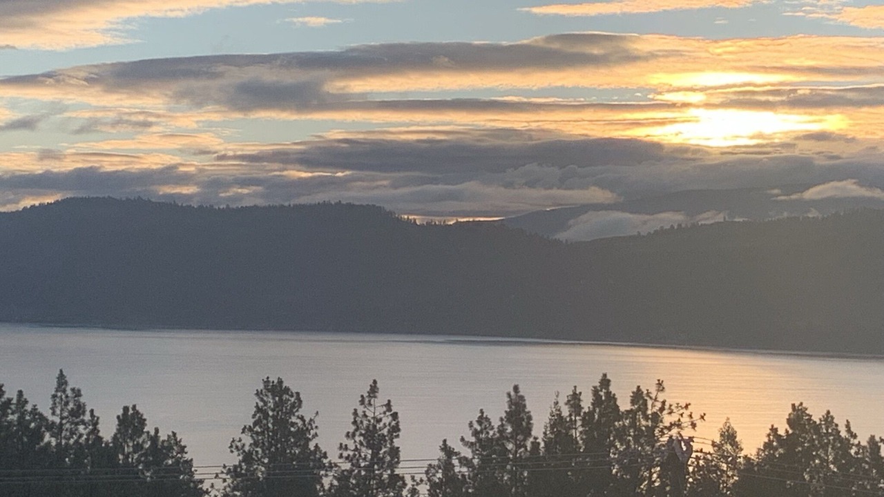 Photo of Others in Westshore Estates