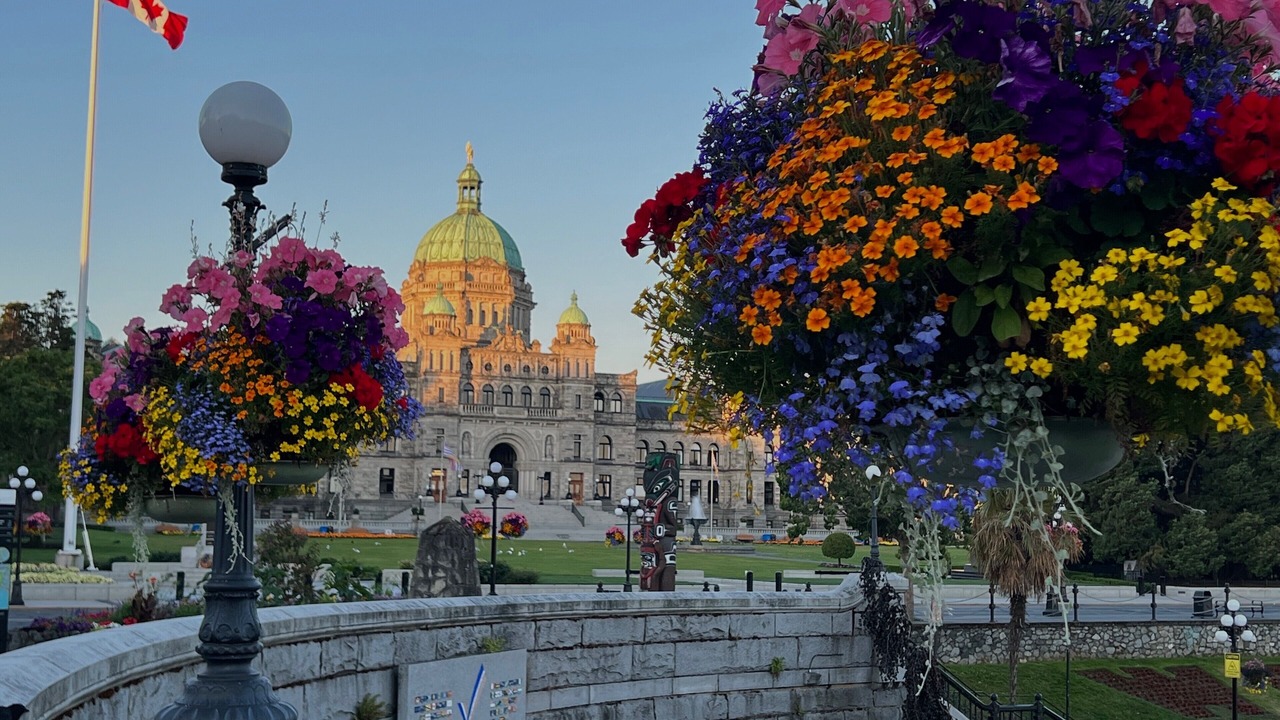 Photo of Others in Inner Harbour