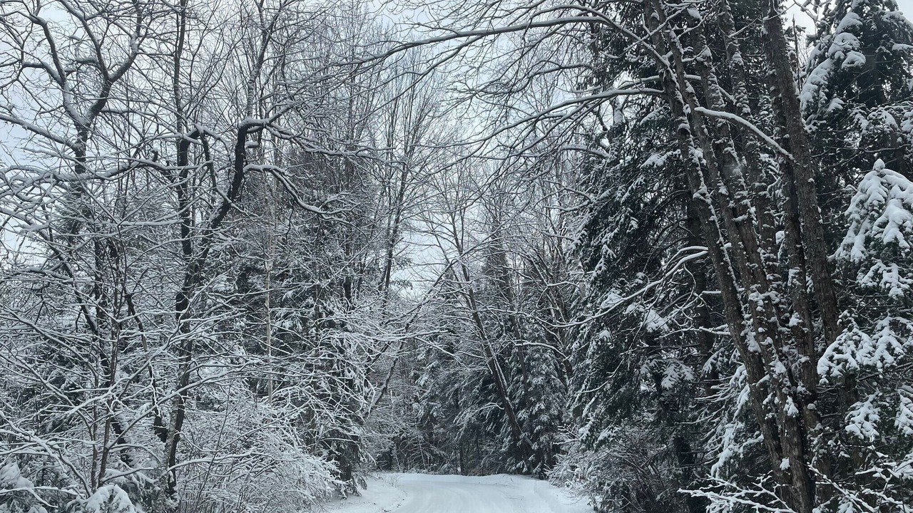 Photo of Others in Bracebridge