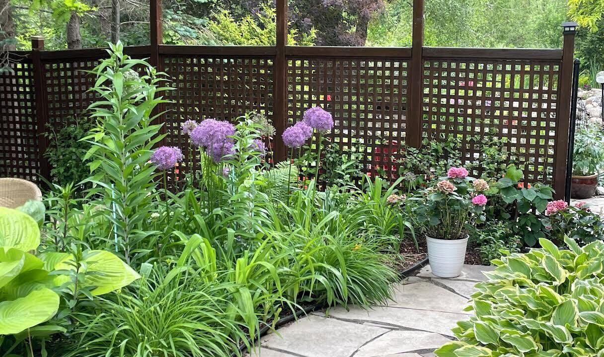 Photo of Outdoor in Waterloo