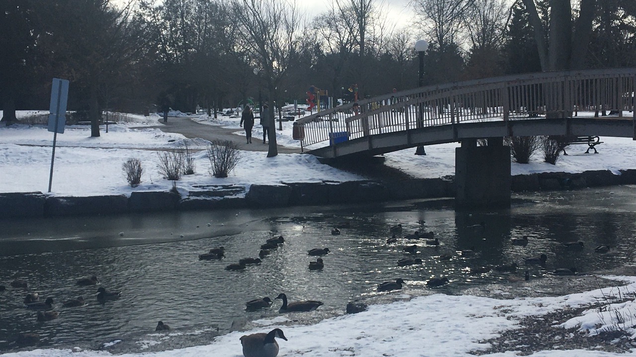 Photo of Others in Waterloo