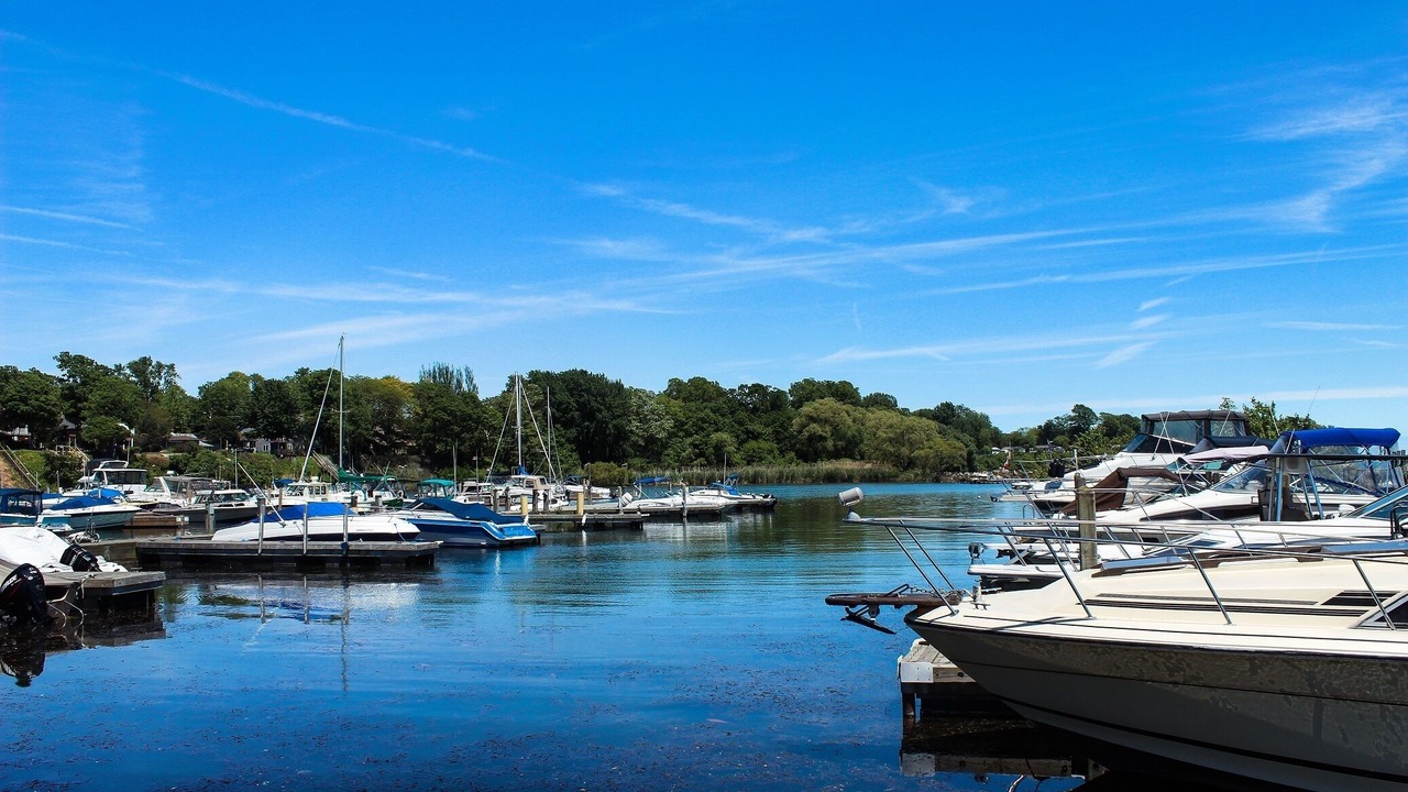 Photo of Others in Colchester