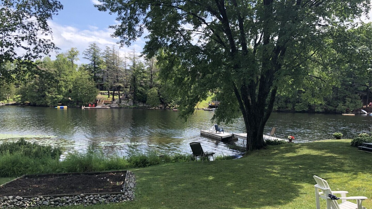 Photo of Others in McKellar