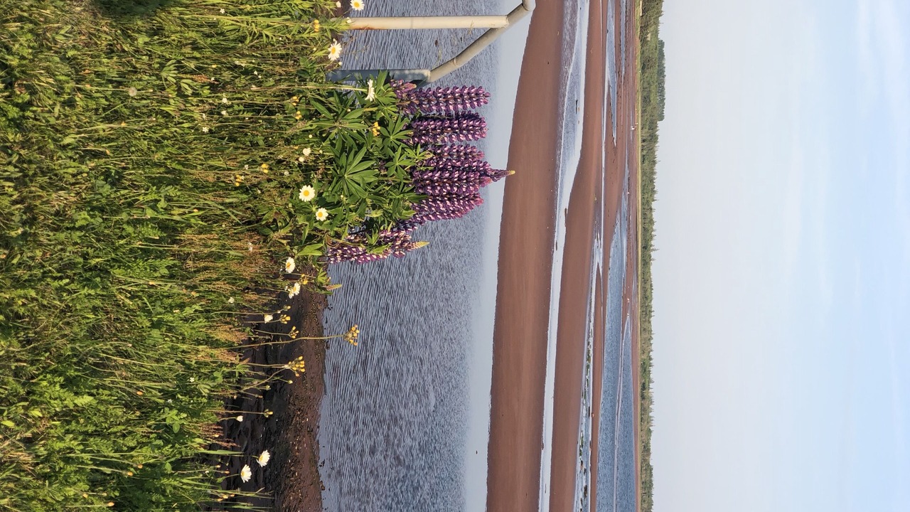 Photo of Outdoor in Chelton