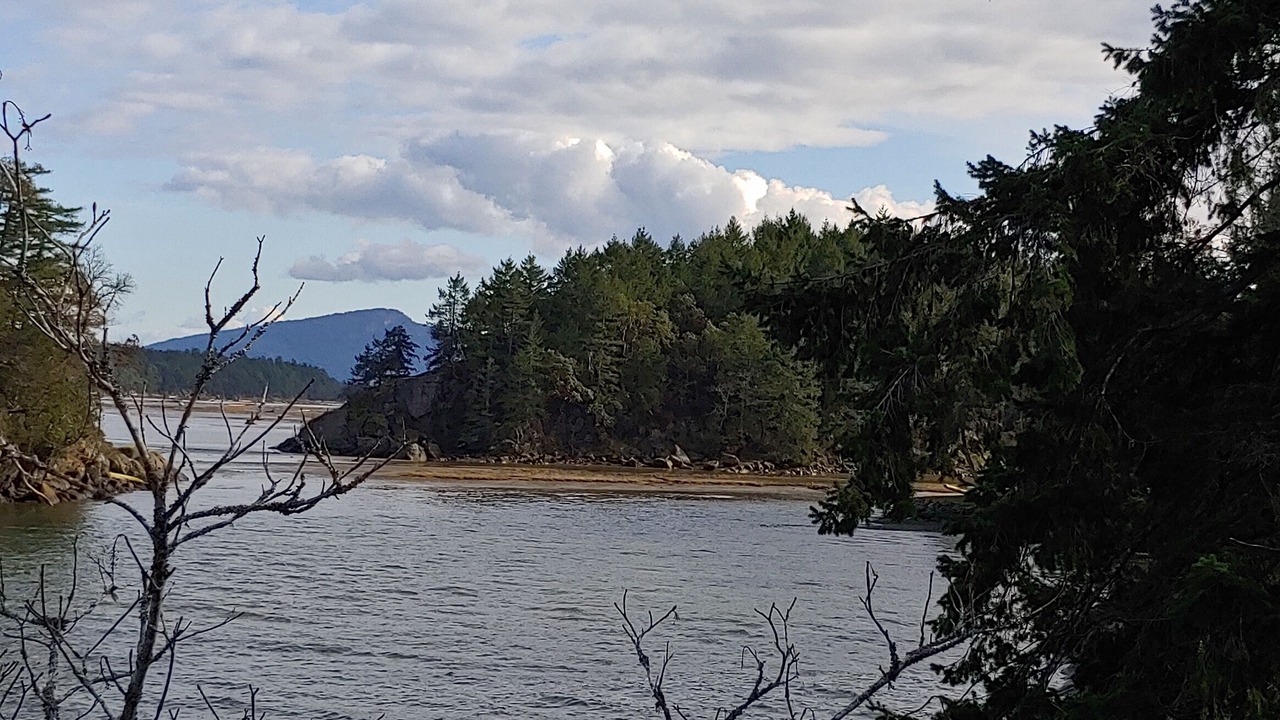 Photo of Others in Chemainus