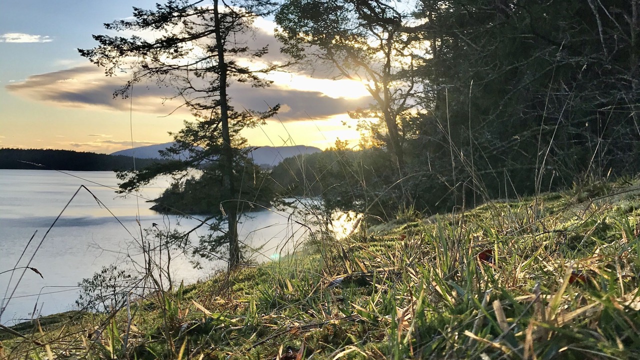 Photo of Outdoor in Chemainus