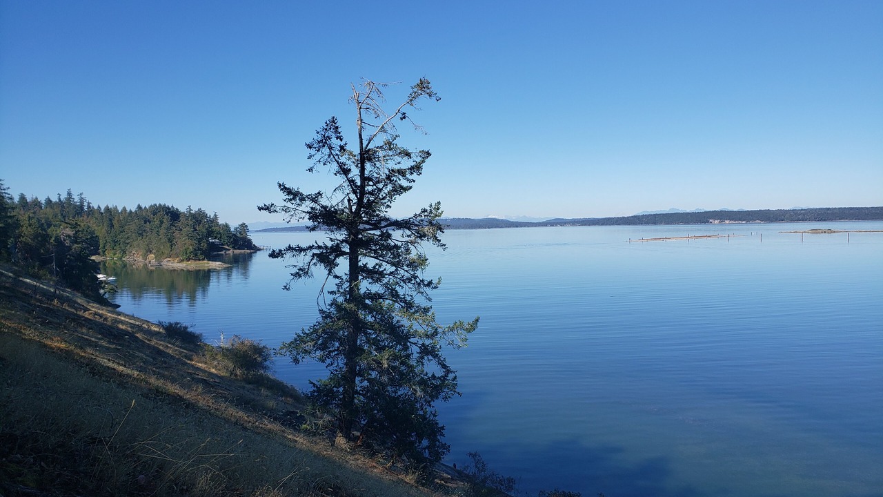 Photo of Others in Chemainus