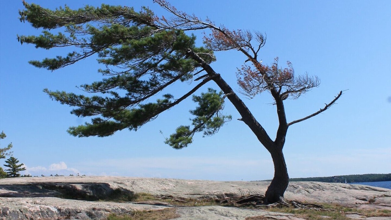 Photo of Others in The Archipelago