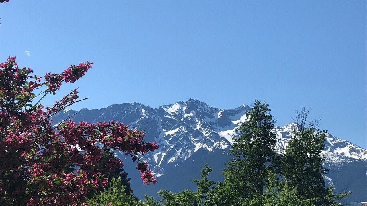 Photo of Others in Pemberton