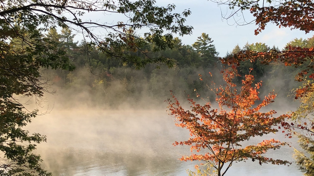 Photo of Outdoor in Utterson