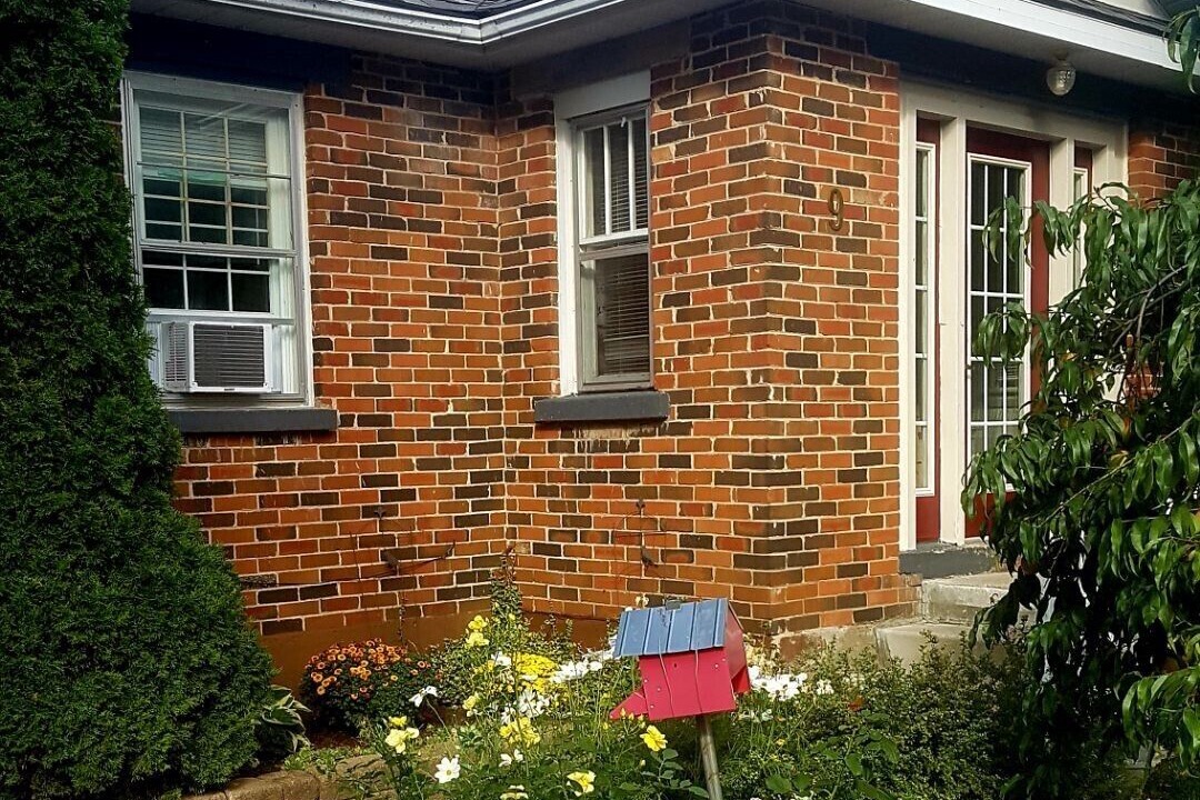 Photo of Outdoor in Nottawa