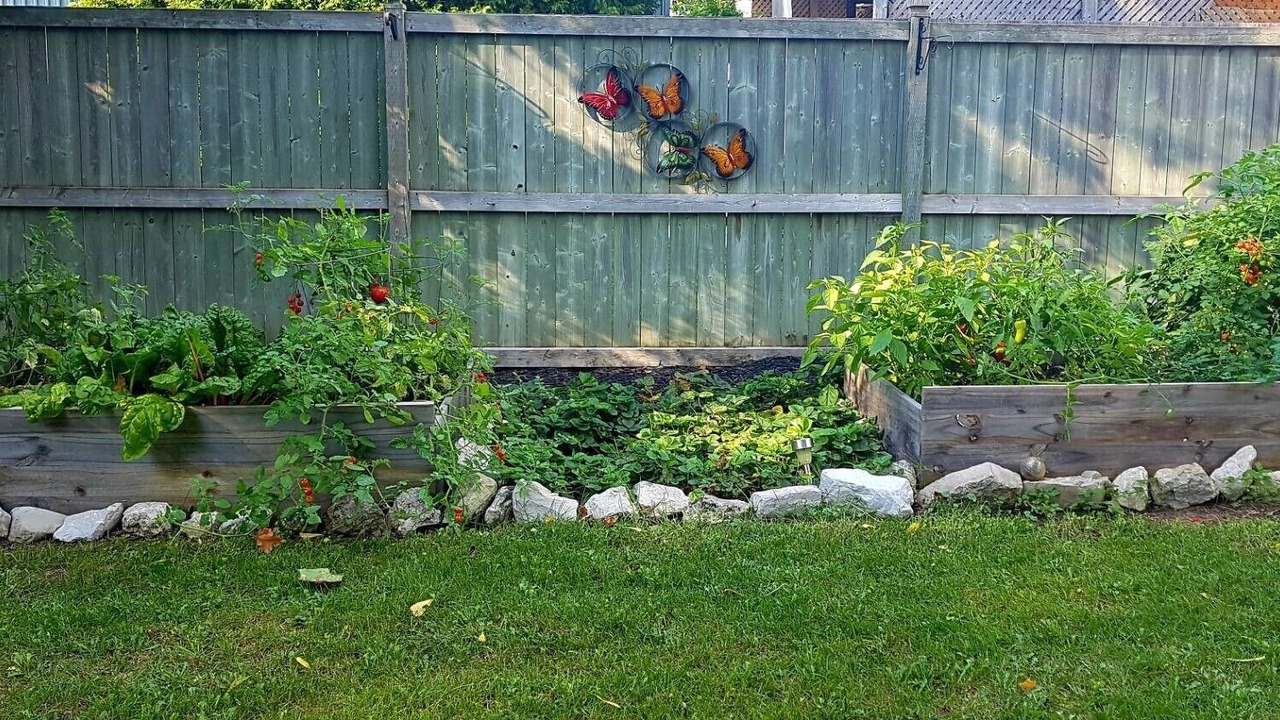 Photo of Outdoor in Nottawa