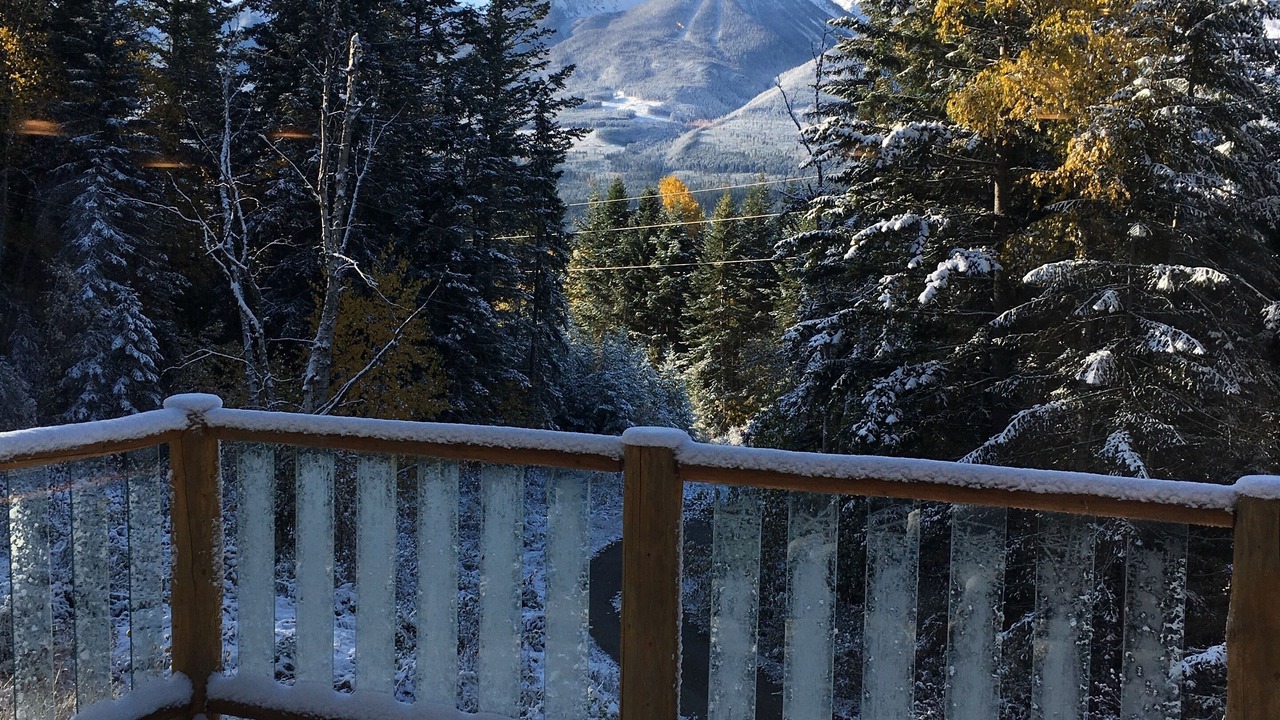 Photo of Patio Balcony in Golden