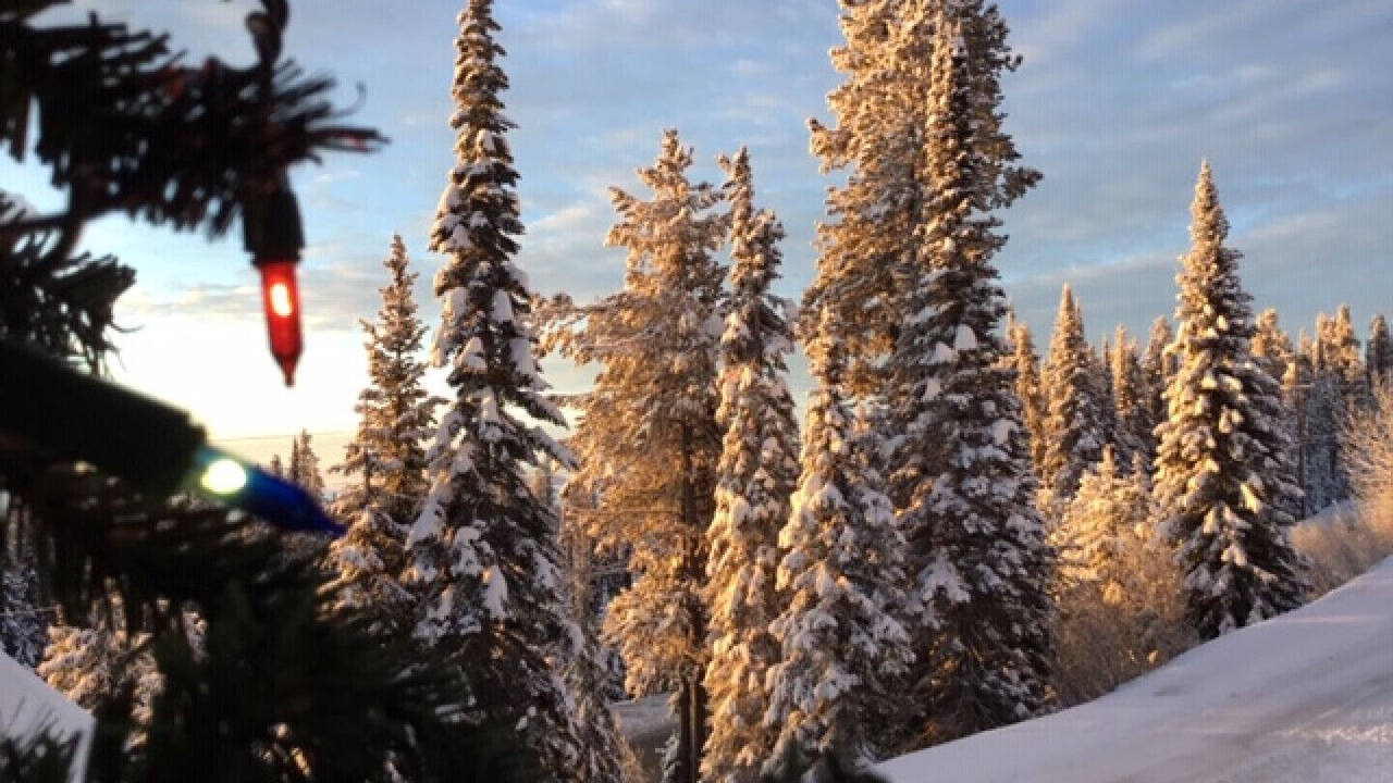 Photo of Others in Snow Pine Estates