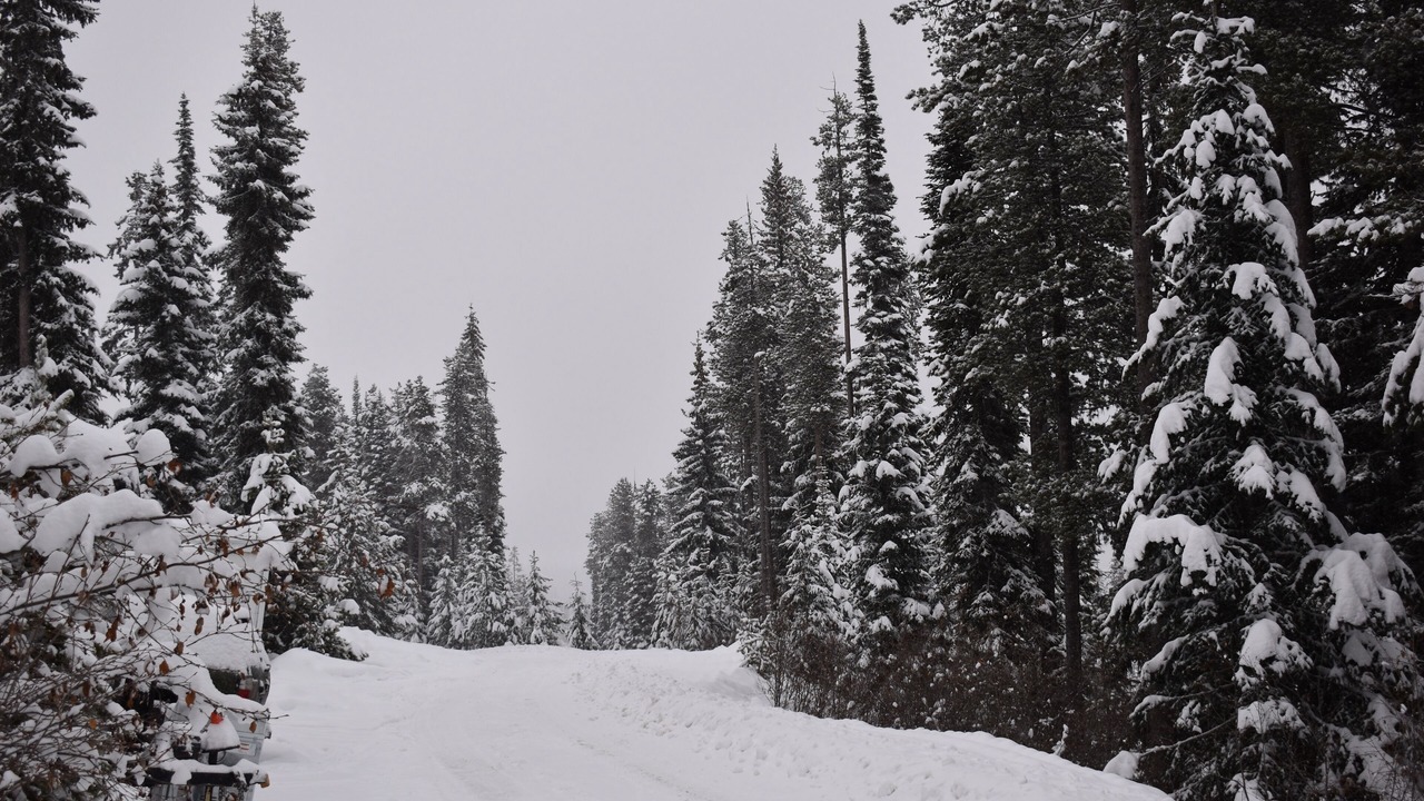 Photo of Others in Snow Pine Estates