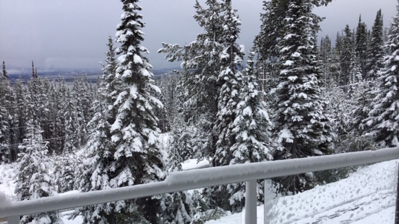 Photo of Others in Snow Pine Estates