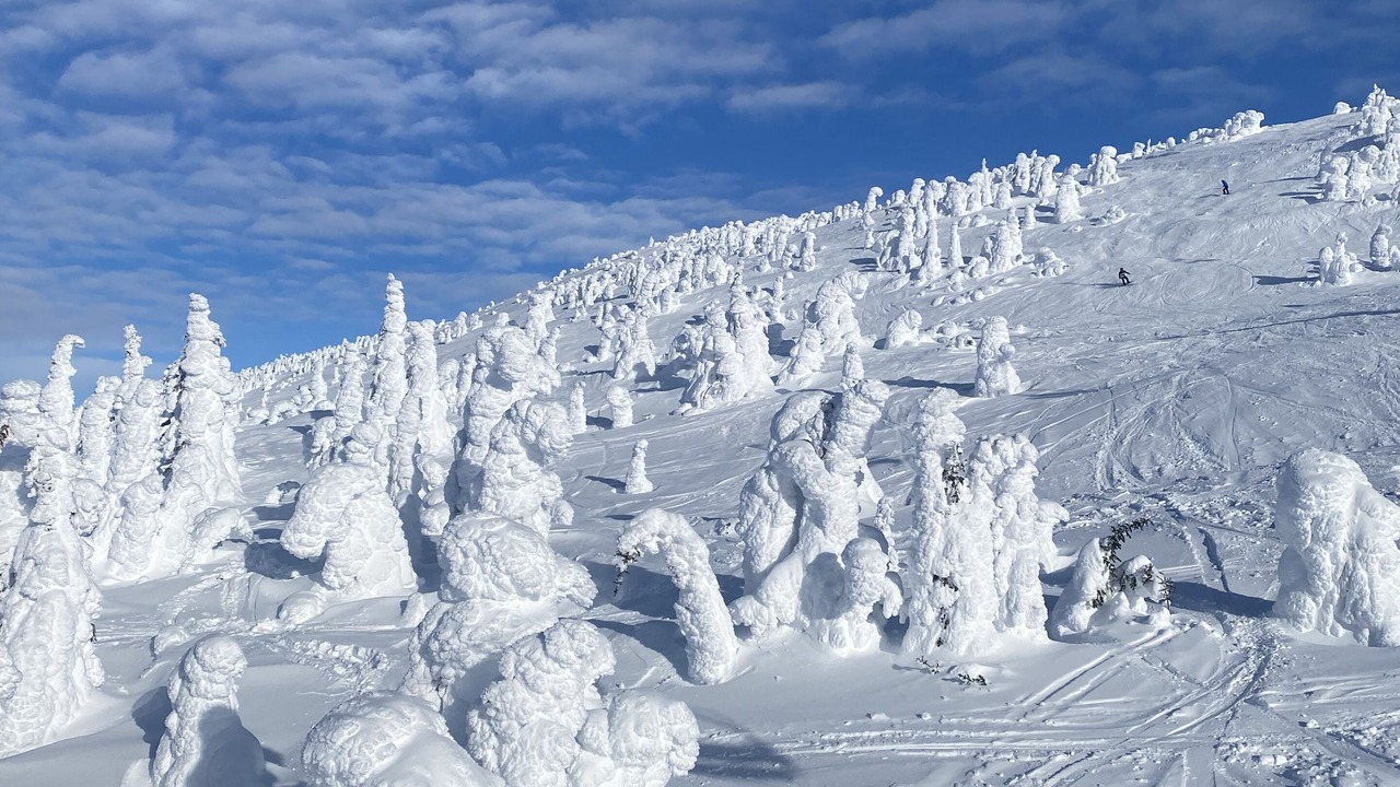 Photo of Others in Snow Pine Estates