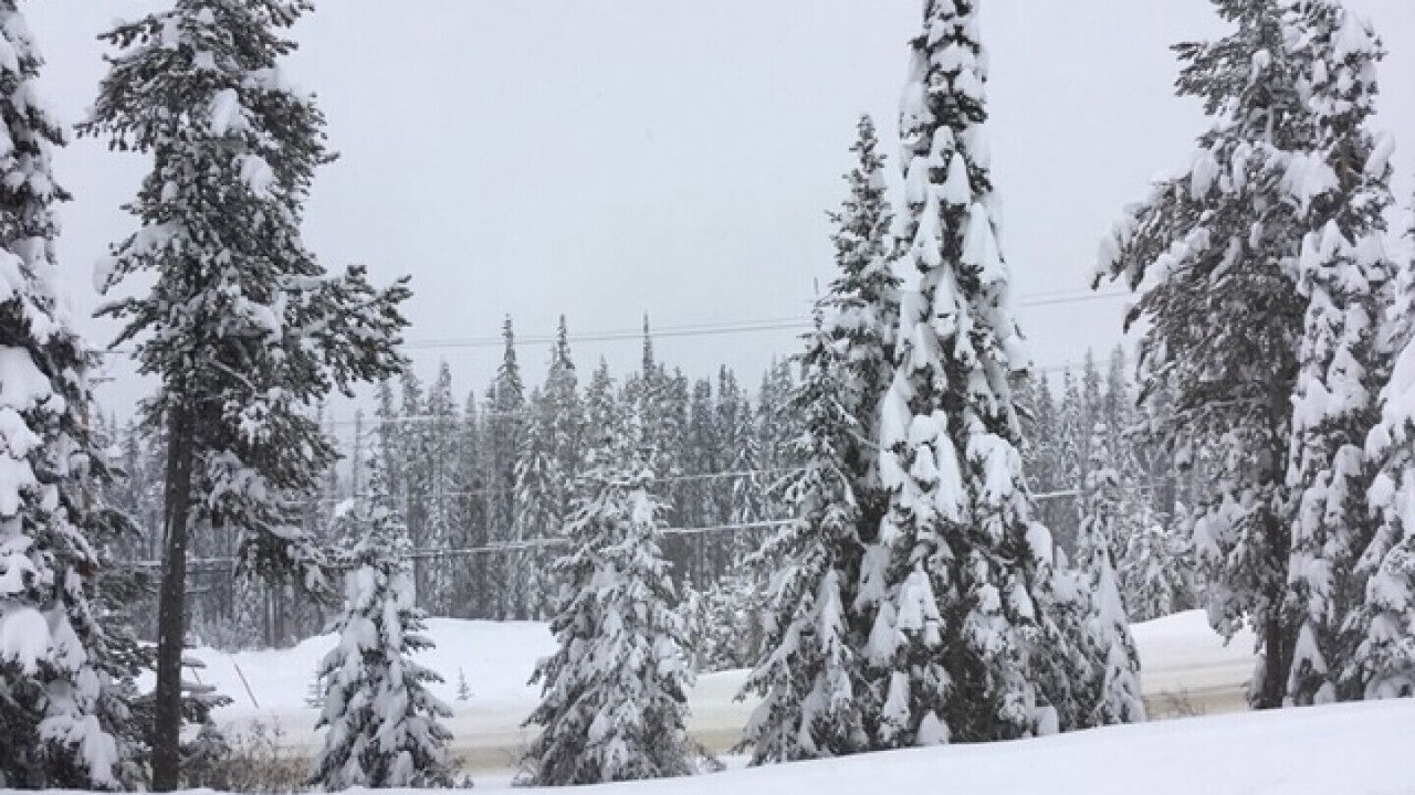 Photo of Others in Snow Pine Estates