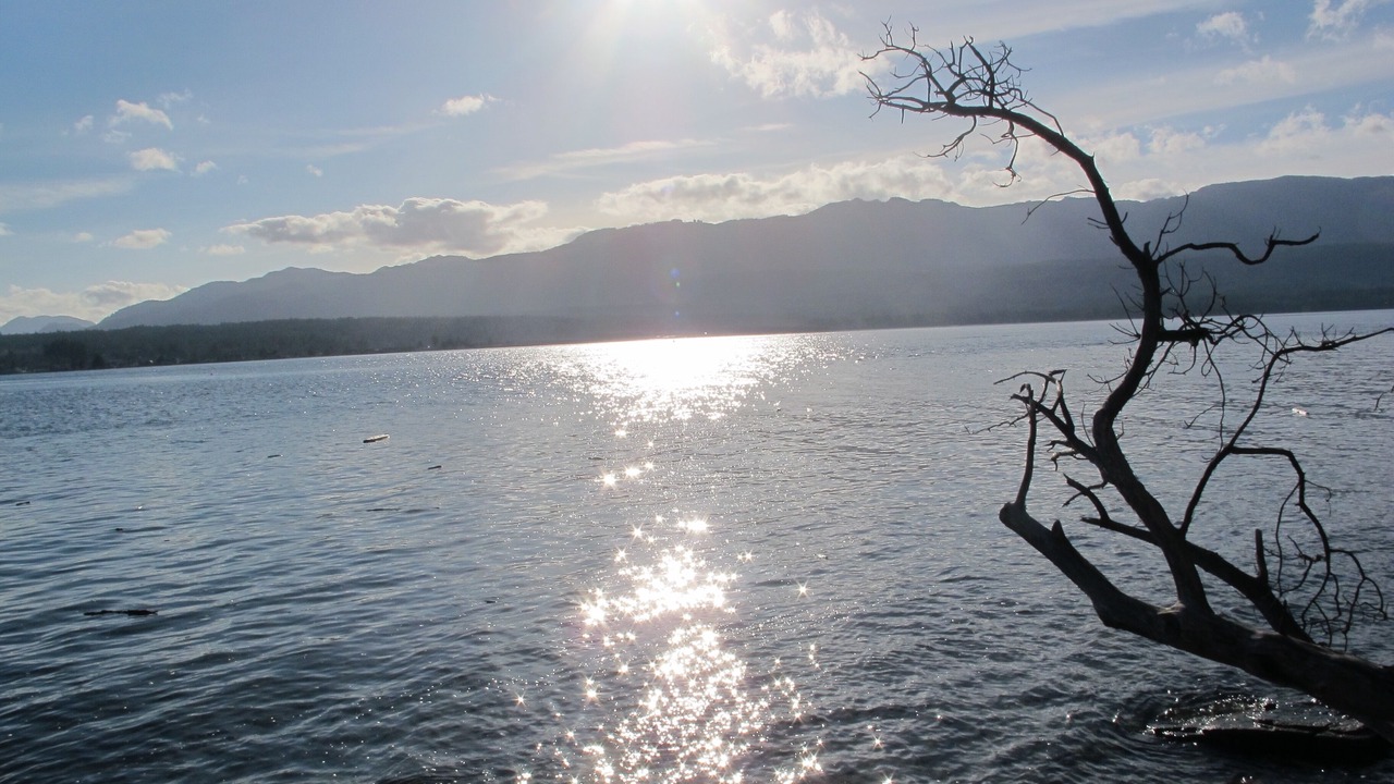 Photo of Others in Denman Island