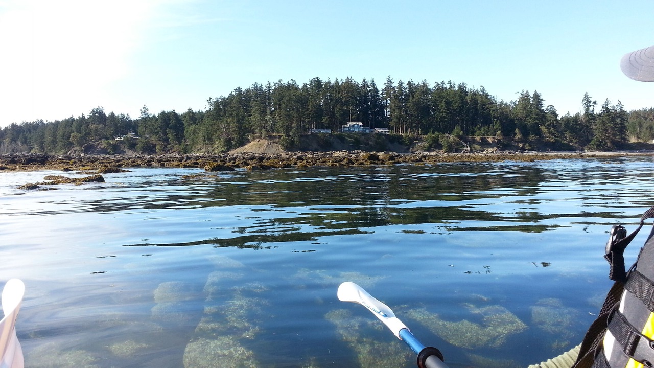 Photo of Others in Denman Island