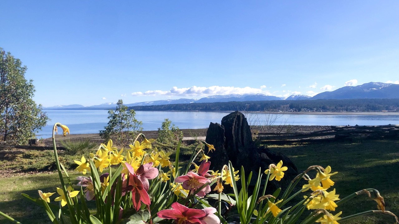 Photo of Outdoor in Denman Island