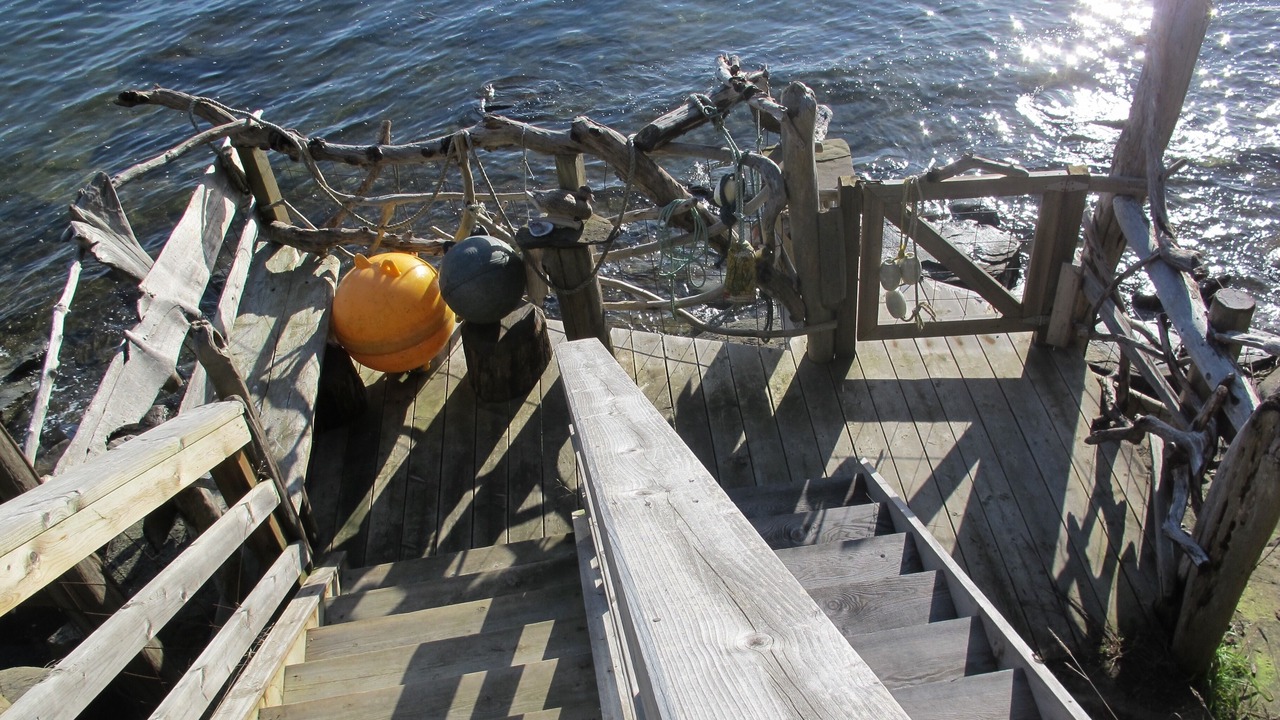 Photo of Outdoor in Denman Island