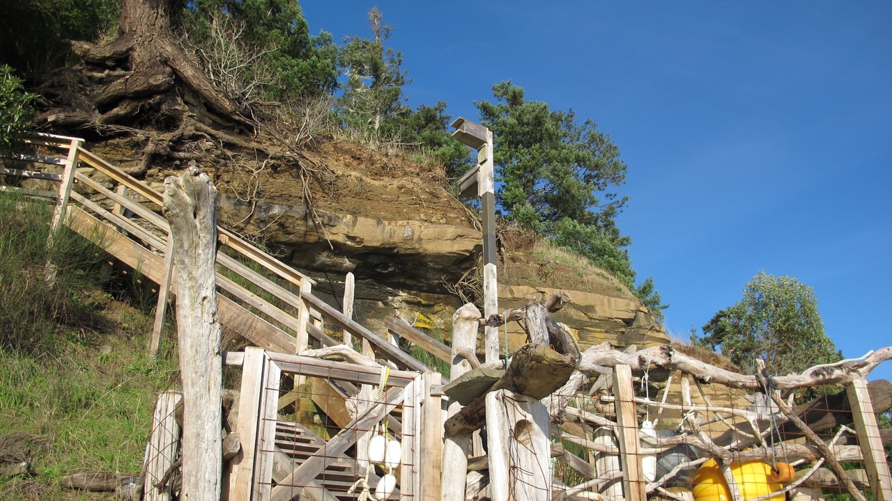 Photo of Outdoor in Denman Island