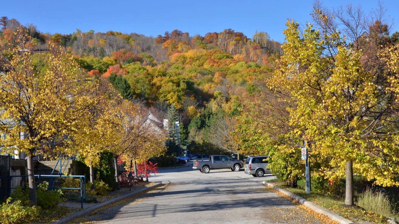 Photo of Others in Craigleith