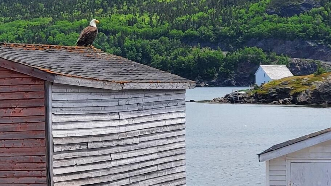 Photo of Others in Terra Nova