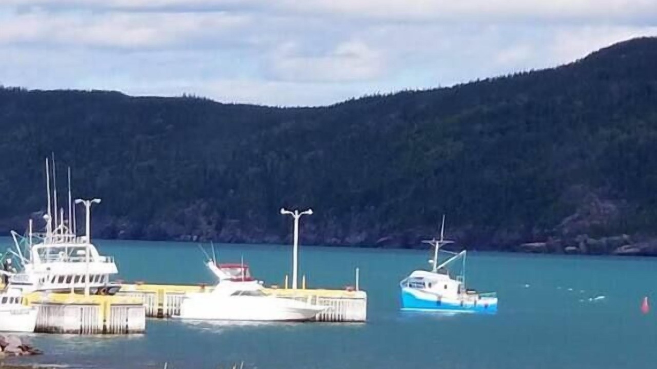 Photo of Others in Terra Nova