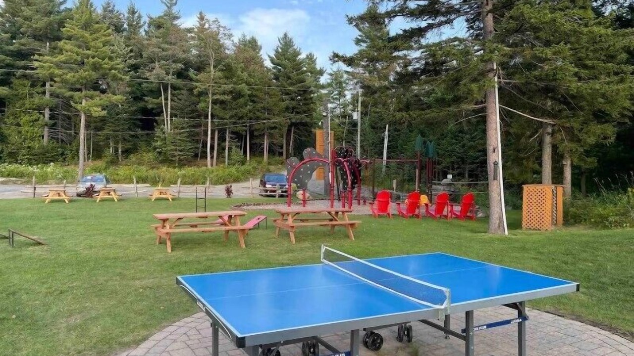 Photo of Others in Fiddler Lake Resort