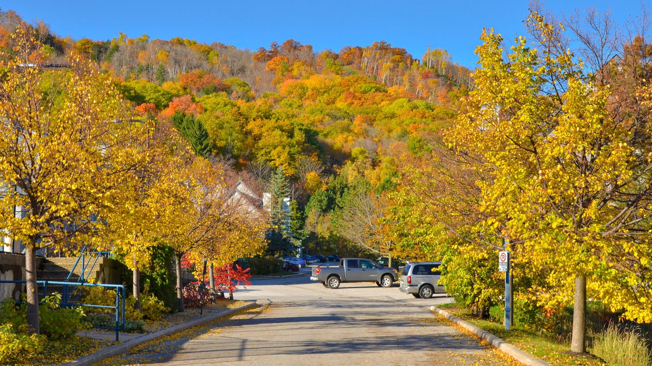 Photo of Others in Craigleith