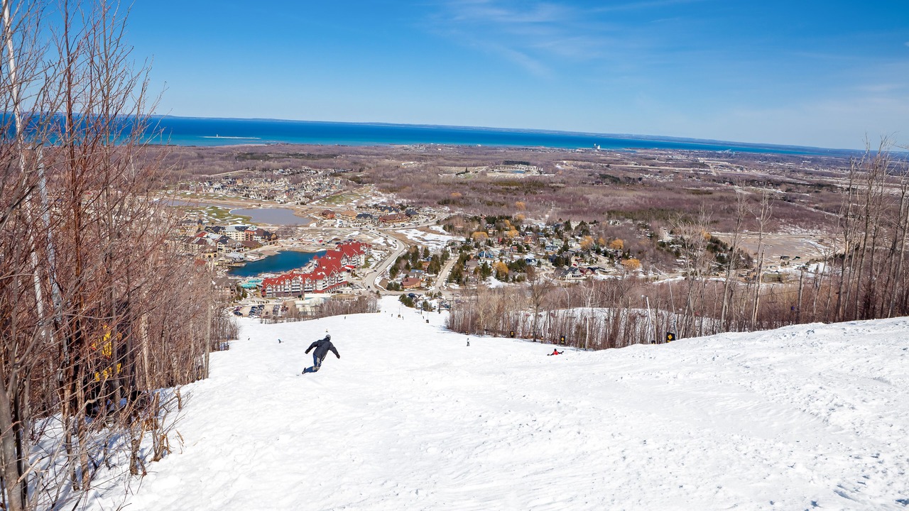 Photo of Others in Craigleith