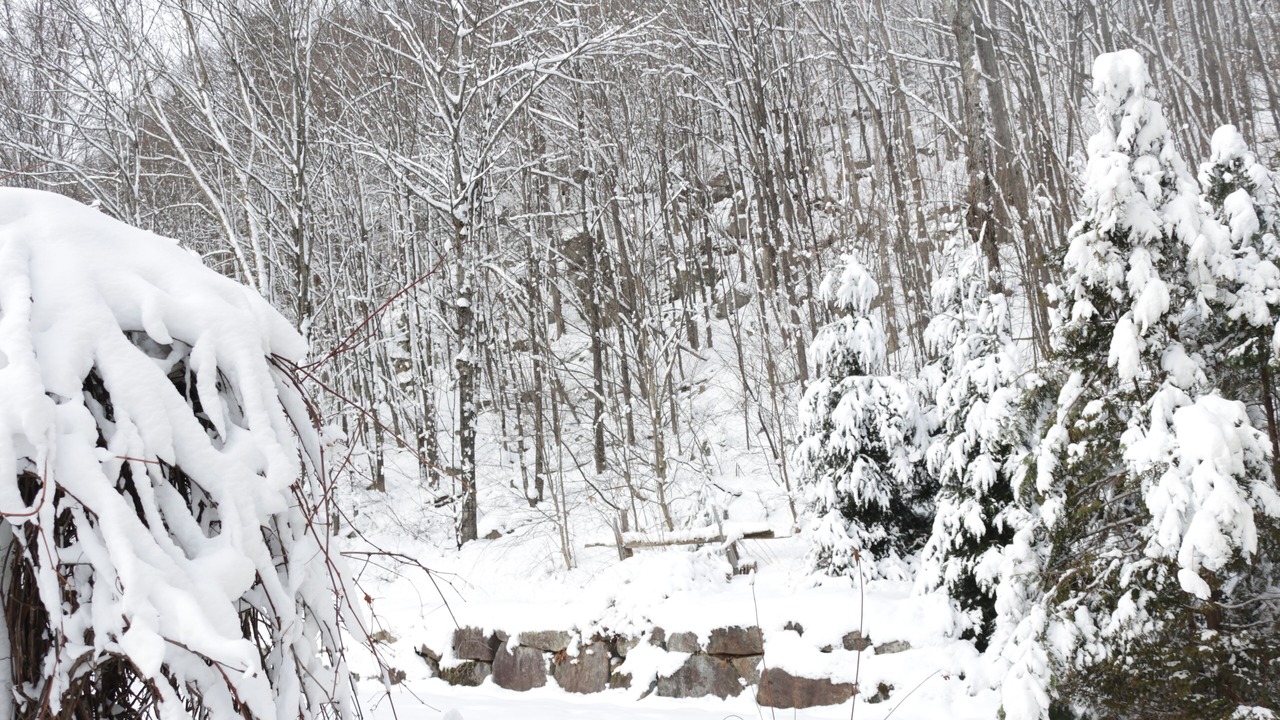 Photo of Outdoor in St-Adolphe-d'Howard