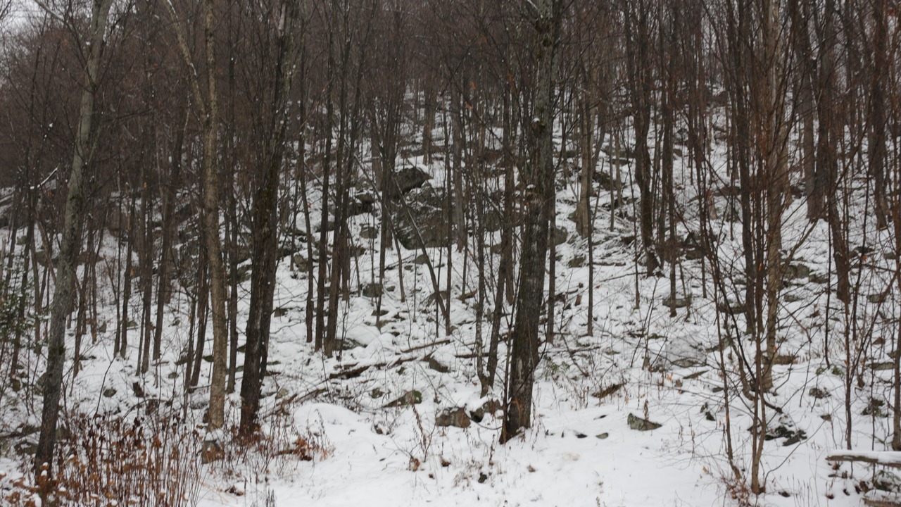 Photo of Others in St-Adolphe-d'Howard