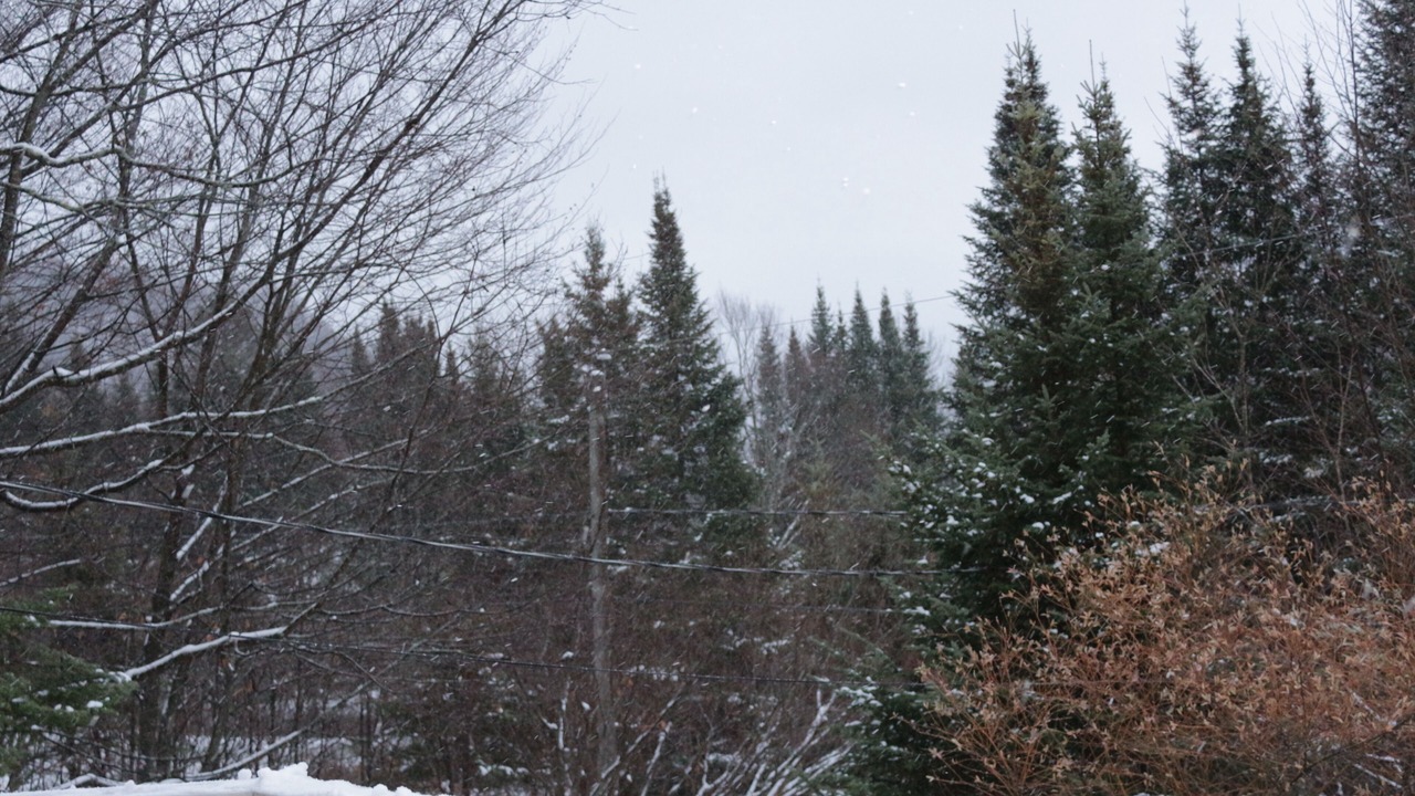 Photo of Outdoor in St-Adolphe-d'Howard